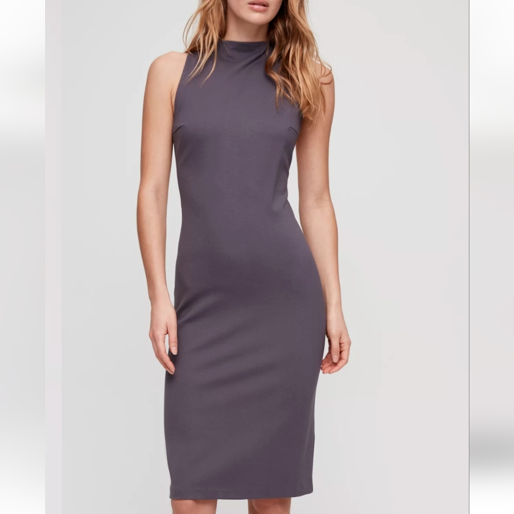 Aritzia Babaton Matheson High Neck Dress